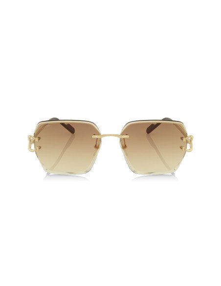 Cartier CT0466S 001