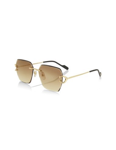 Cartier CT0466S 001