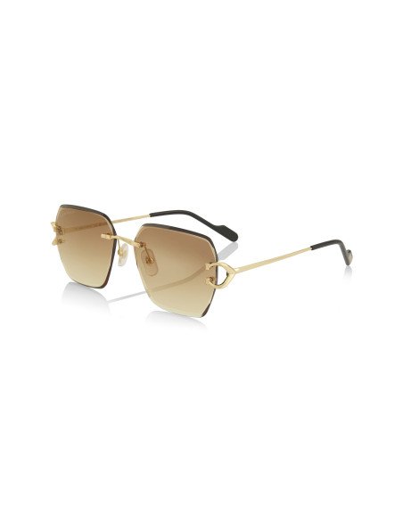 Cartier CT0466S 001