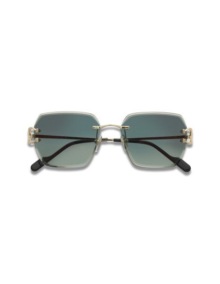 Cartier CT0466S 001