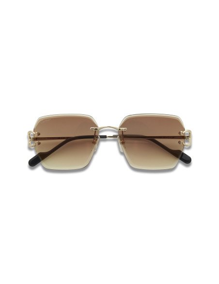 Cartier CT0466S 001