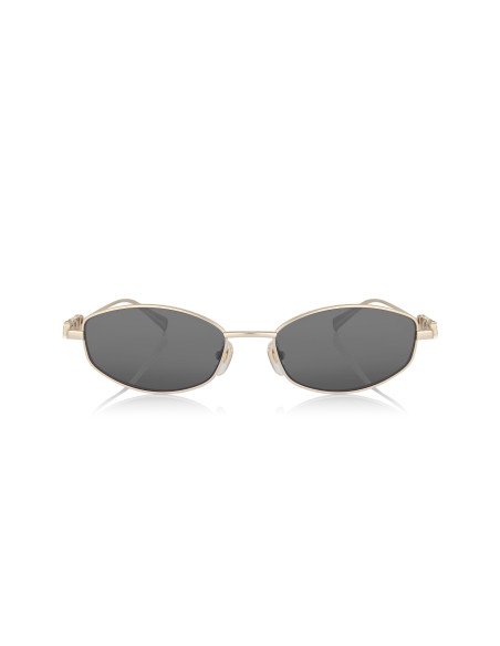 Cartier CT0466S 001