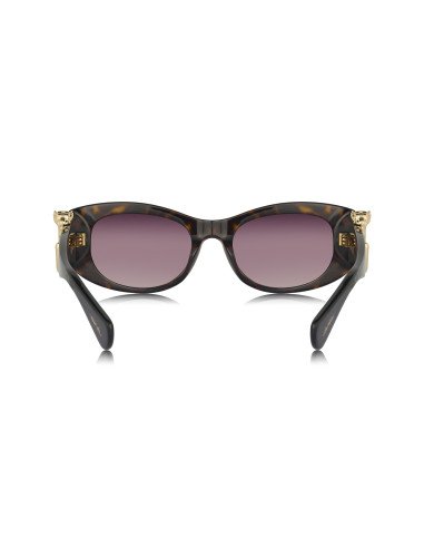 Cartier CT0466S 001