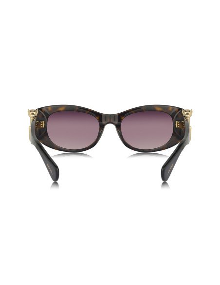 Cartier CT0466S 001