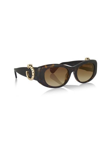 Cartier CT0466S 001