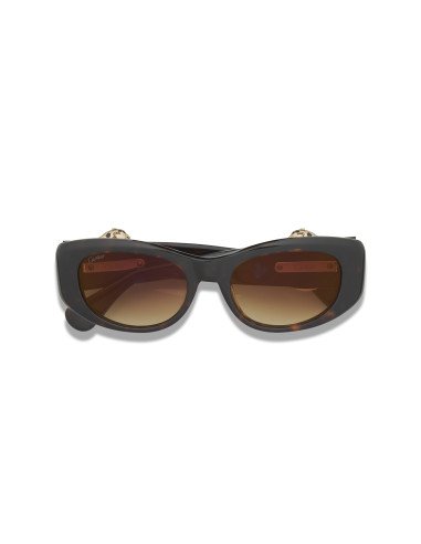 Cartier CT0466S 001