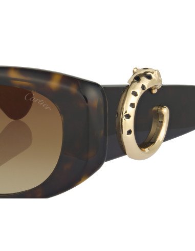 Cartier CT0466S 001