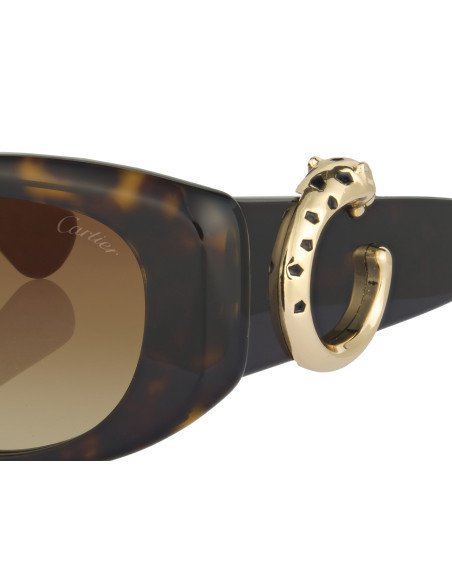 Cartier CT0466S 001