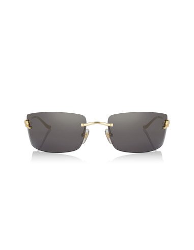 Cartier CT0466S 001