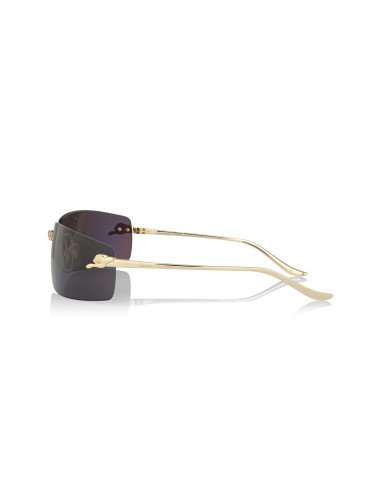 Cartier CT0466S 001