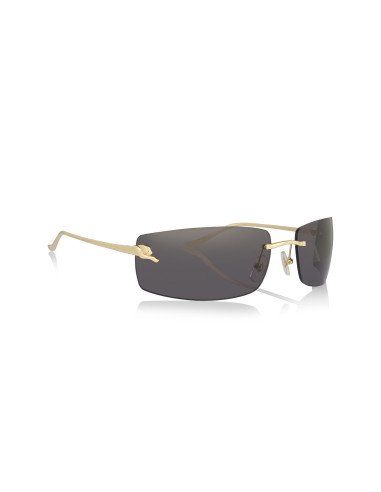 Cartier CT0466S 001