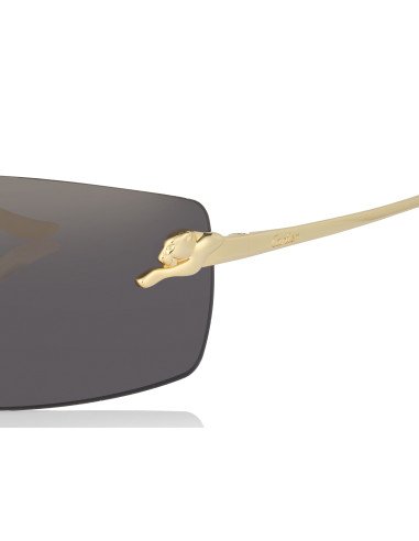 Cartier CT0466S 001