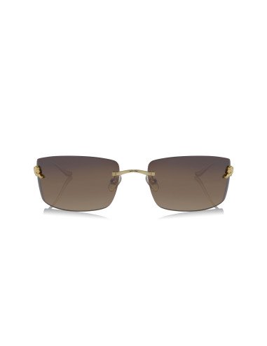 Cartier CT0466S 001