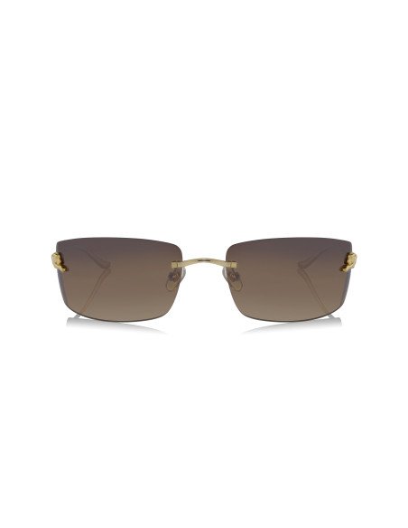 Cartier CT0466S 001