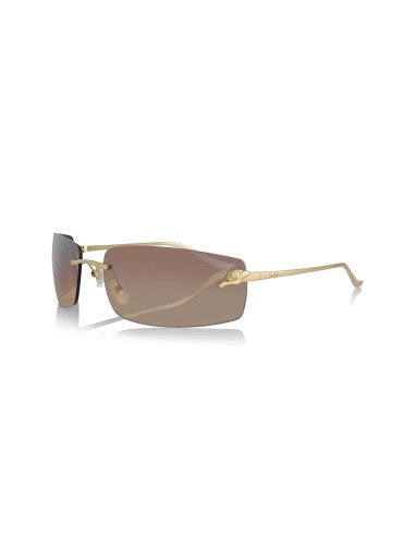 Cartier CT0466S 001