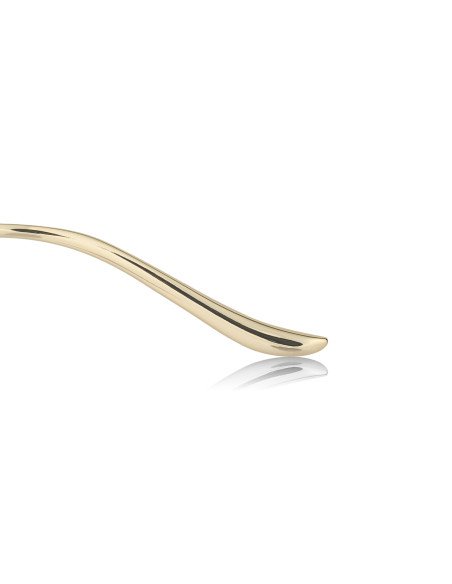Cartier CT0466S 001