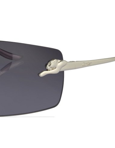 Cartier CT0466S 001
