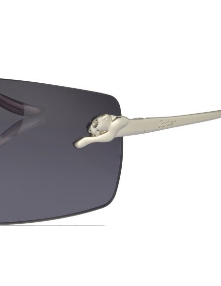 Cartier CT0466S 001