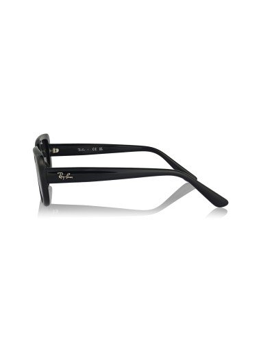 Ray-Ban RB4421D 667787 | Sunnies México