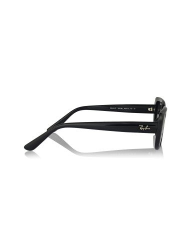 Ray-Ban RB4421D 667787 | Sunnies México
