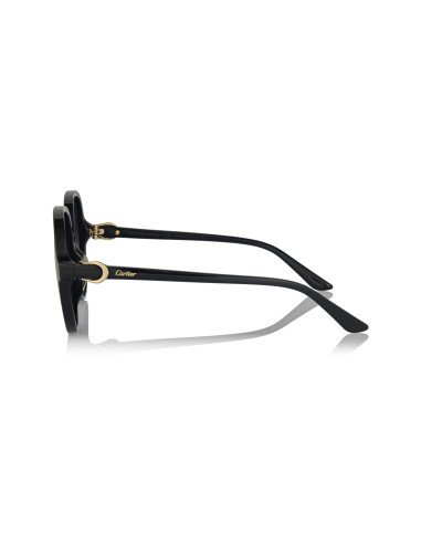 Cartier CT0466S 001