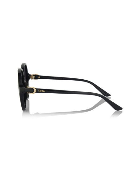 Cartier CT0466S 001