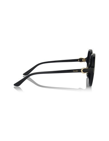 Cartier CT0466S 001