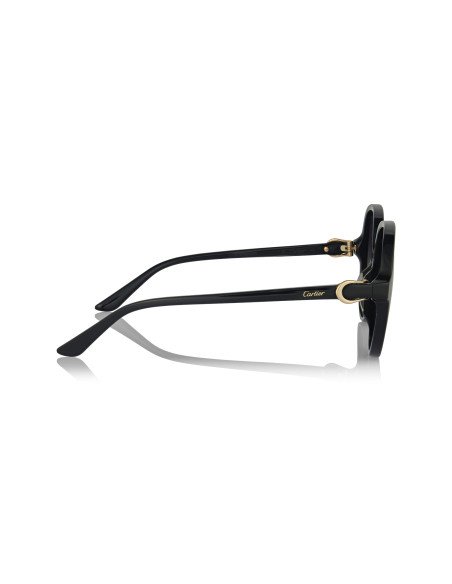 Cartier CT0466S 001