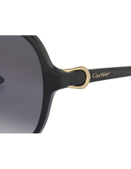 Cartier CT0466S 001