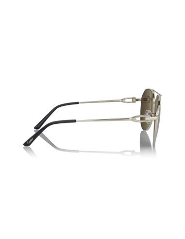 Cartier CT0466S 001