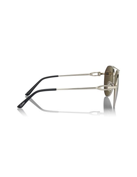 Cartier CT0466S 001