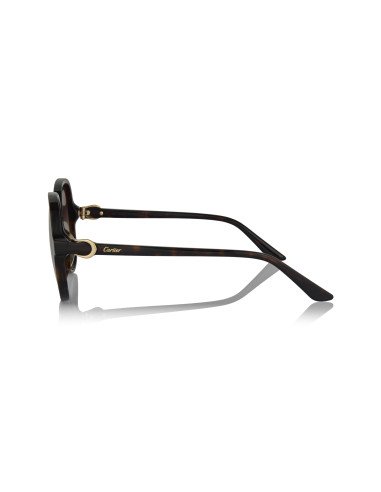 Cartier CT0466S 001