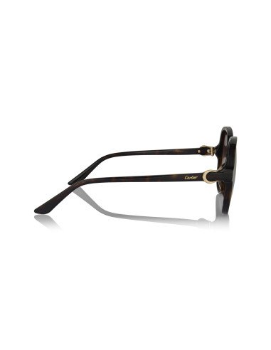 Cartier CT0466S 001