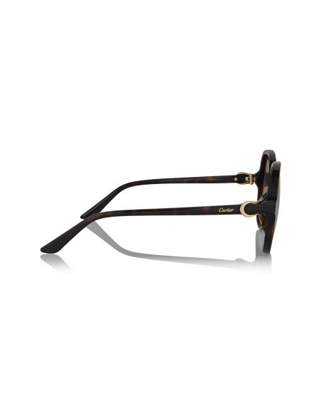Cartier CT0466S 001