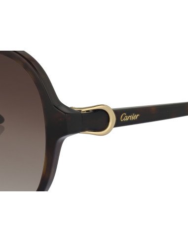 Cartier CT0466S 001
