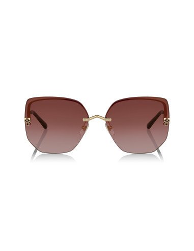 Cartier CT0466S 001