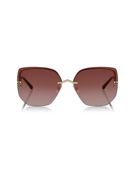 Cartier CT0466S 001