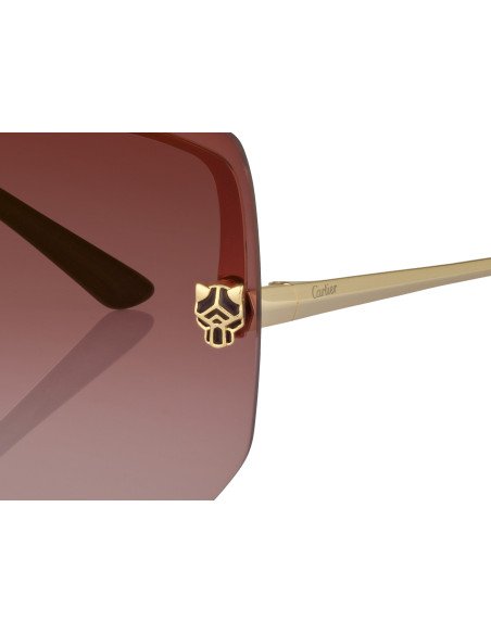 Cartier CT0466S 001