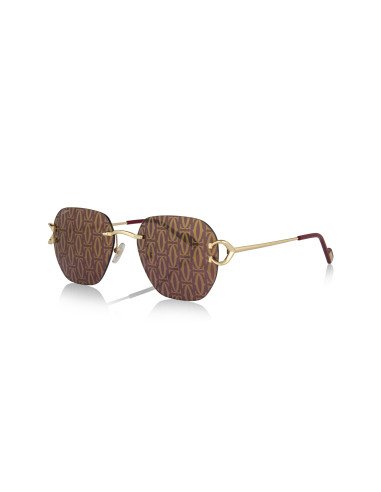 Cartier CT0466S 001