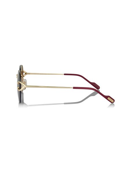 Cartier CT0466S 001