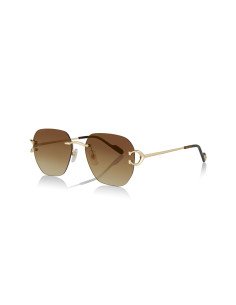 Cartier CT0466S 001