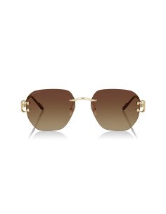 Cartier CT0466S 001 2