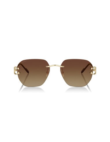 Cartier CT0466S 001