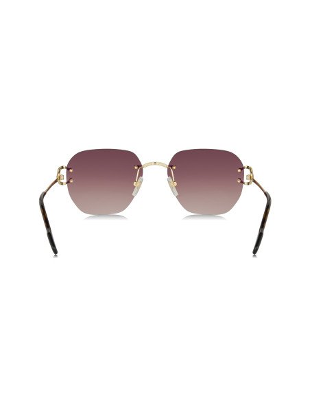 Cartier CT0466S 001