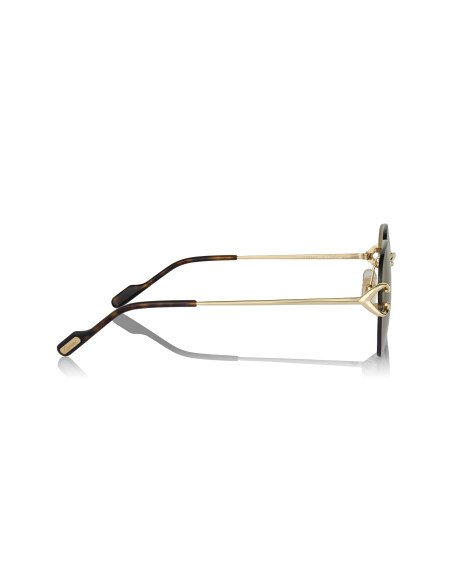 Cartier CT0466S 001