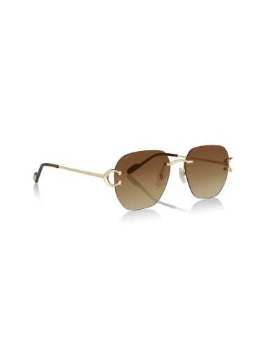 Cartier CT0466S 001
