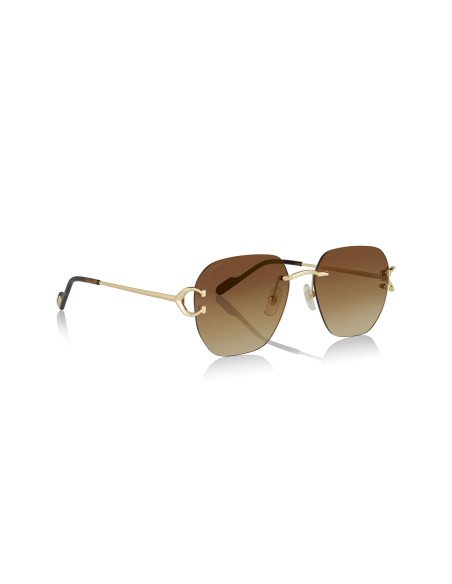 Cartier CT0466S 001
