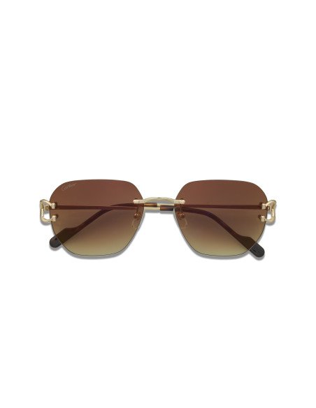 Cartier CT0466S 001