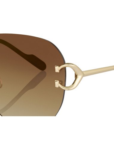 Cartier CT0466S 001