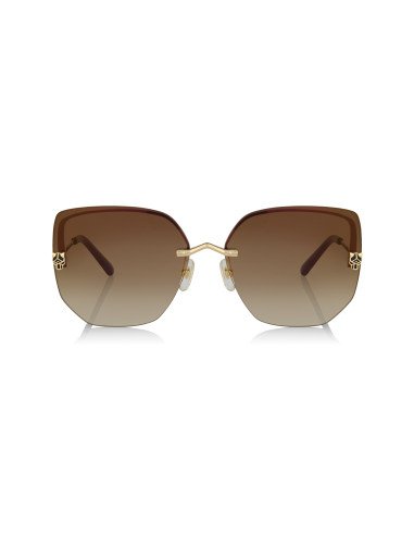 Cartier CT0466S 001